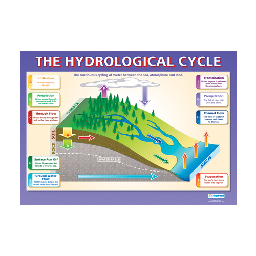 Geography school Poster - The Hydrological System