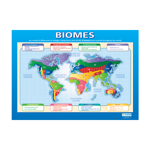  Geography School Poster- Biomes