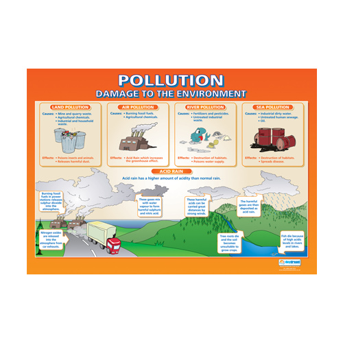 Geography School Poster-  Pollution