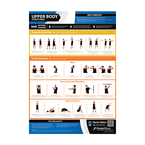 gym and fitness chart upper body stretching l body fitness chart