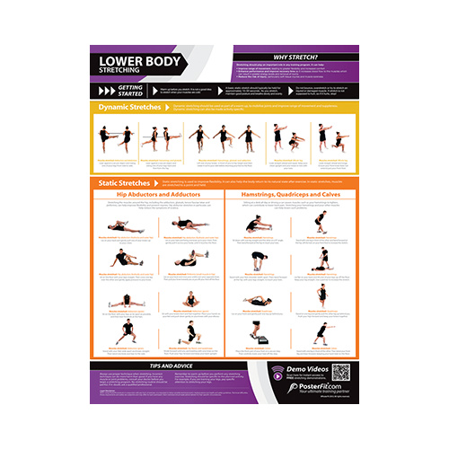 gym and fitness chart lower body stretching l fitnus poster