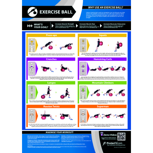  Gym and Fitness Chart - Exercise Ball