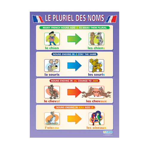 Modern Language Schools Poster- Les Pluriel des Noms