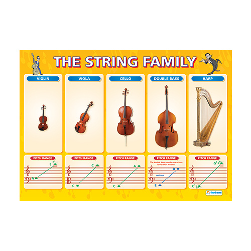Music Schools Charts - The String Family