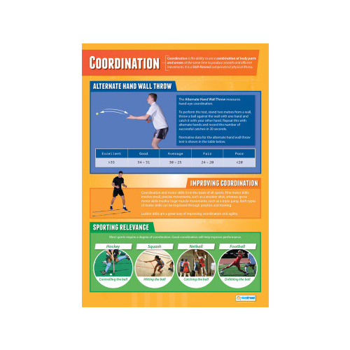 Physical Education School Poster-  Co-ordination