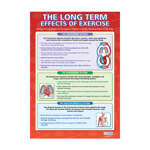 Physical Education School Chart - Long Term Effects of Exercise