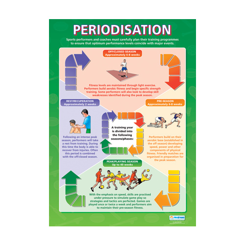 Physical Education School Poster-  Periodisation