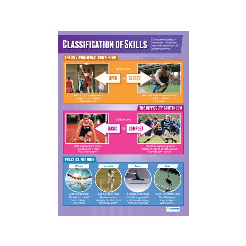 Skills Classification