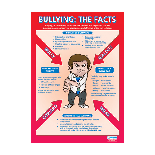 Personal, Social and Health School Poster- Bullying: The Facts