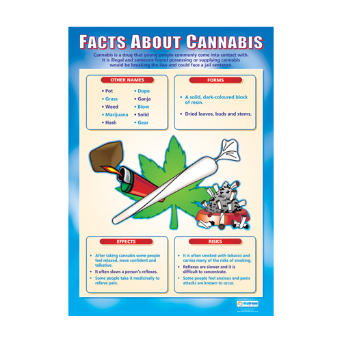 Drug, Alcohol and Smoking-  Facts About Cannabis