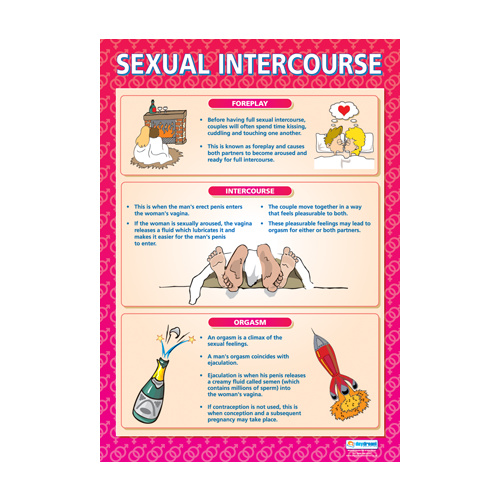 Personal, Social and Healt School Poster - Sexual Intercourse