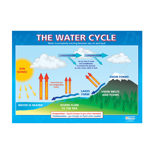 Science School Poster-  The Water Cycle