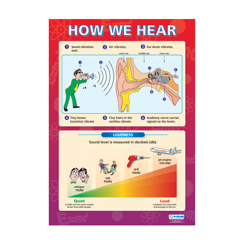 Science School Poster-  How We Hear Sound