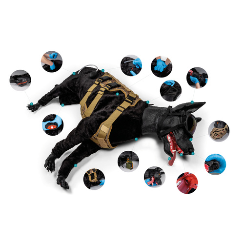 K9-Marshal Military Working Dog Simulator