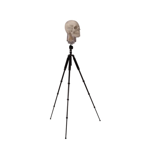 Tripod for X-ray Phantom Head