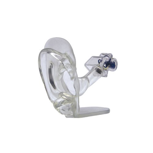 Anatomical Model- Clear Ear