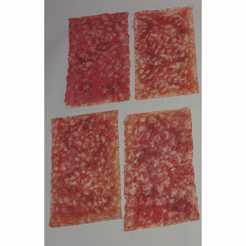 Life/form Simulated Leg Burns - Set of 4