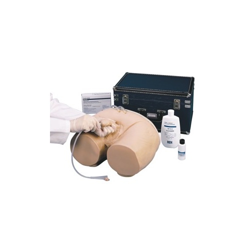 Male Catheterization Simulator