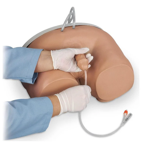 Male Catheterization Simulator