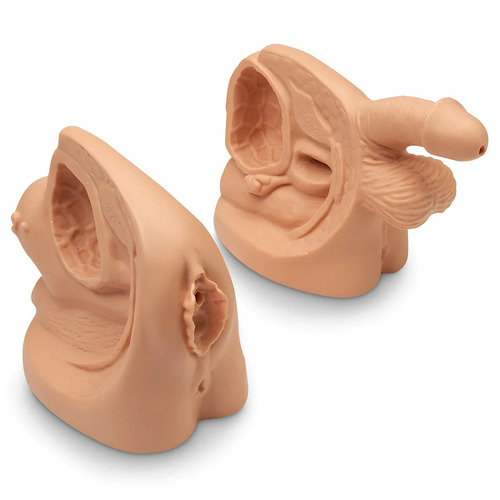 LifeForm Male/Female Catheter set