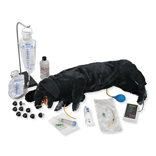 Canine CPR Simulator - Life/Form Advanced Sanitary CPR Dog