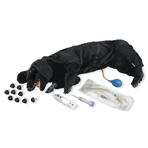 Canine CPR Simulator - Life/Form BASIC