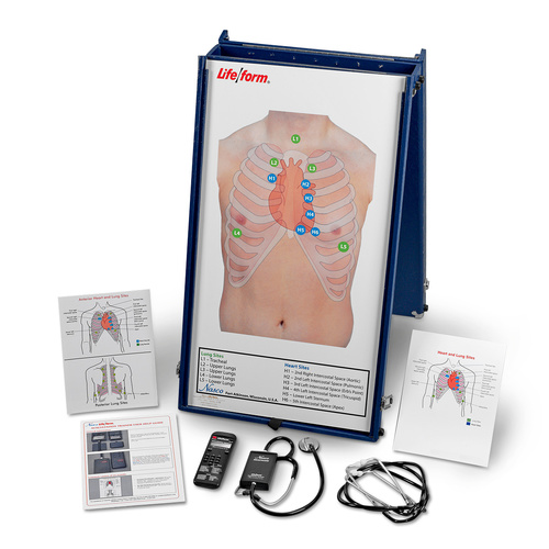 Life/form Anterior Auscultation Practice Board