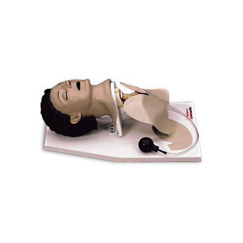 Life/Form Adult Airway Management Trainer with Stand