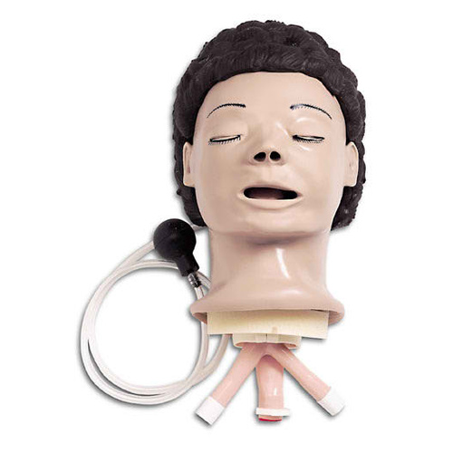 Life/Form Adult Airway Management Trainer - Head Only