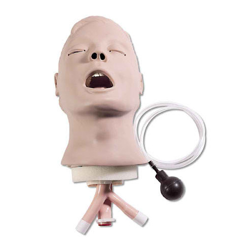 Life/form Advanced Airway Larry Airway Management Trainer Head