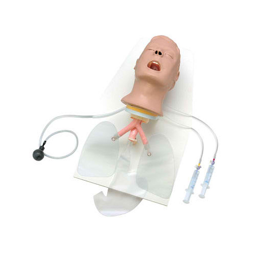Life/form Advanced Airway Larry Trainer Head with Stand