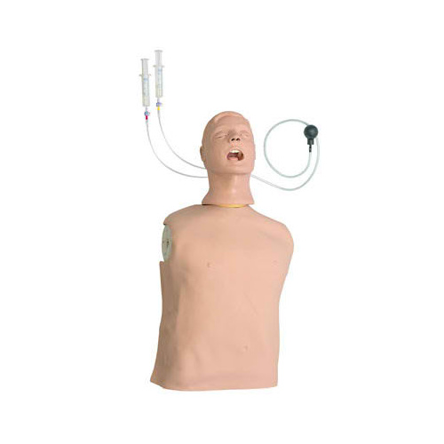 Advanced Airway Larry Airway Management Trainer Torso