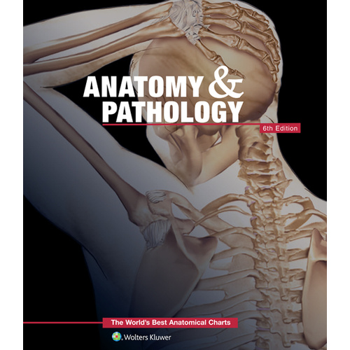 Anatomy & Pathology Chart Book - 58 charts