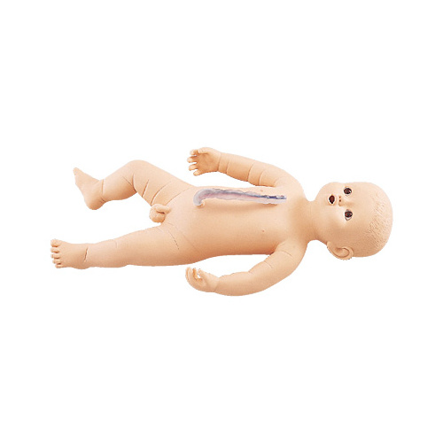 Sakamoto Baby Manikin (Male)