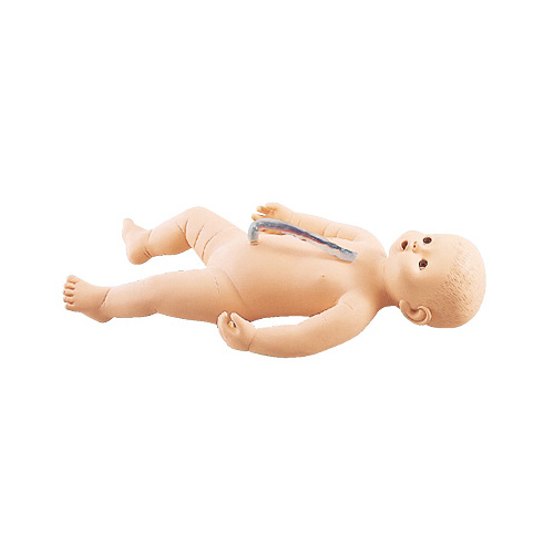 Sakamoto Baby Manikin (Female)
