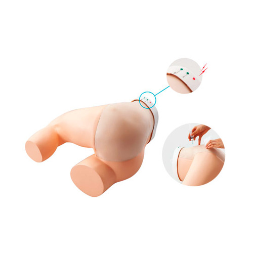 Sakamoto Gluteal Injection Trainer