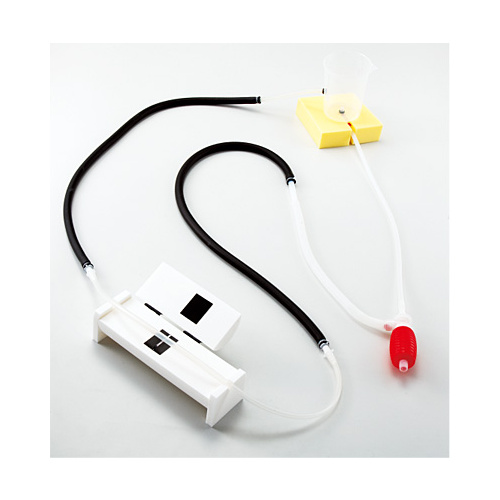 Sakamoto Blood Pressure Mechanism Model