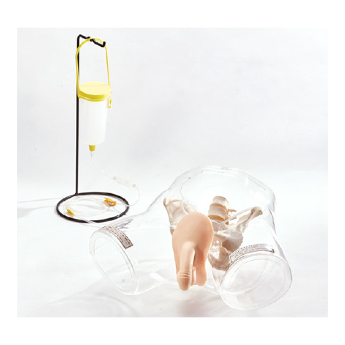 Sakamoto Transparent Catheter Model (Male)