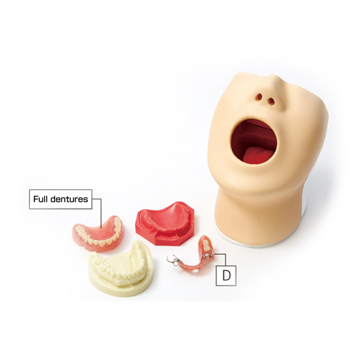 Sakamoto Oral Hygiene Model