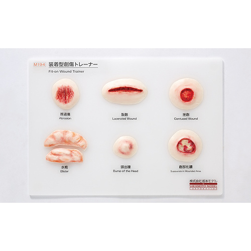 Wearable-Type Wound Trainer
