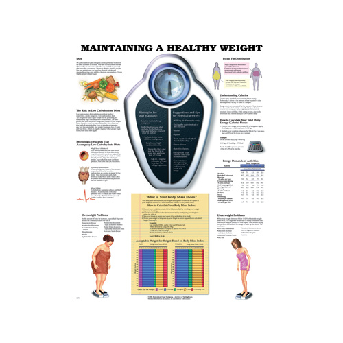 Maintaining a Healthy Weight Chart