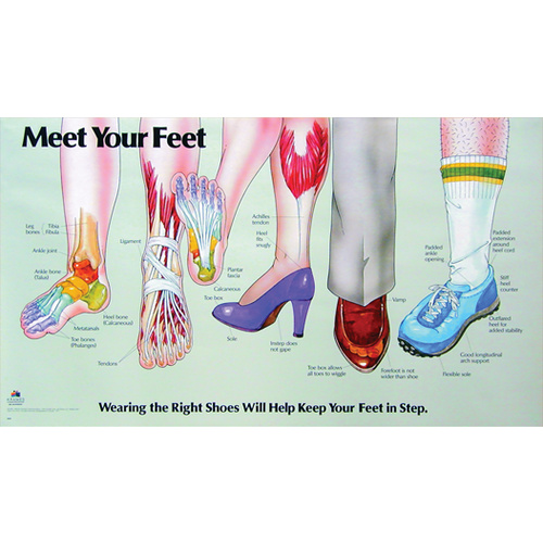 Meet Your Feet