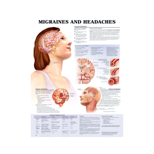 Migraines and Headaches Charts