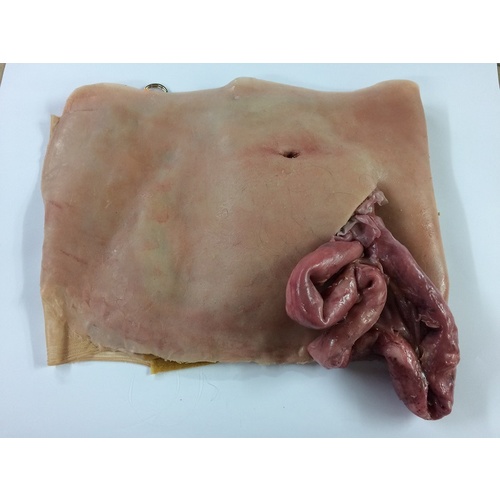 Soft Silicon Belly with Intestine