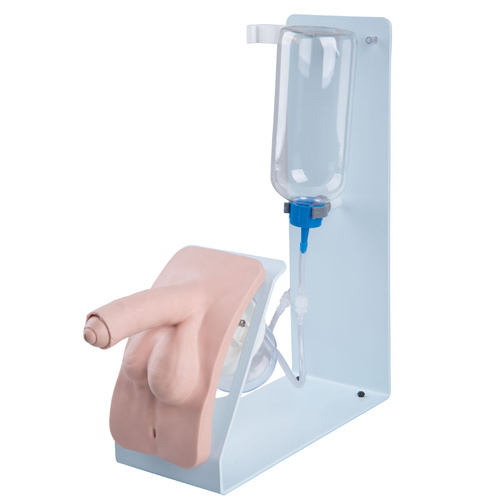 Catheterization Simulator BASIC, male