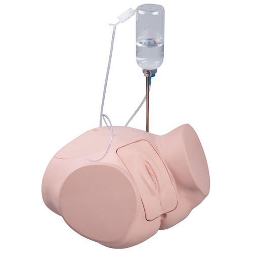 Catheterization Simulator PRO, female