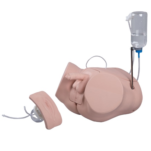 Catheterization Simulator Set PRO