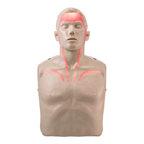 Brayden CPR Manikin - Blood Circulation Display