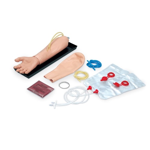 I.V. Lower Arm with Hand