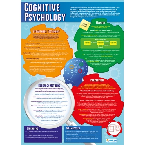Psychology School Poster  - Cognitive Psychology 